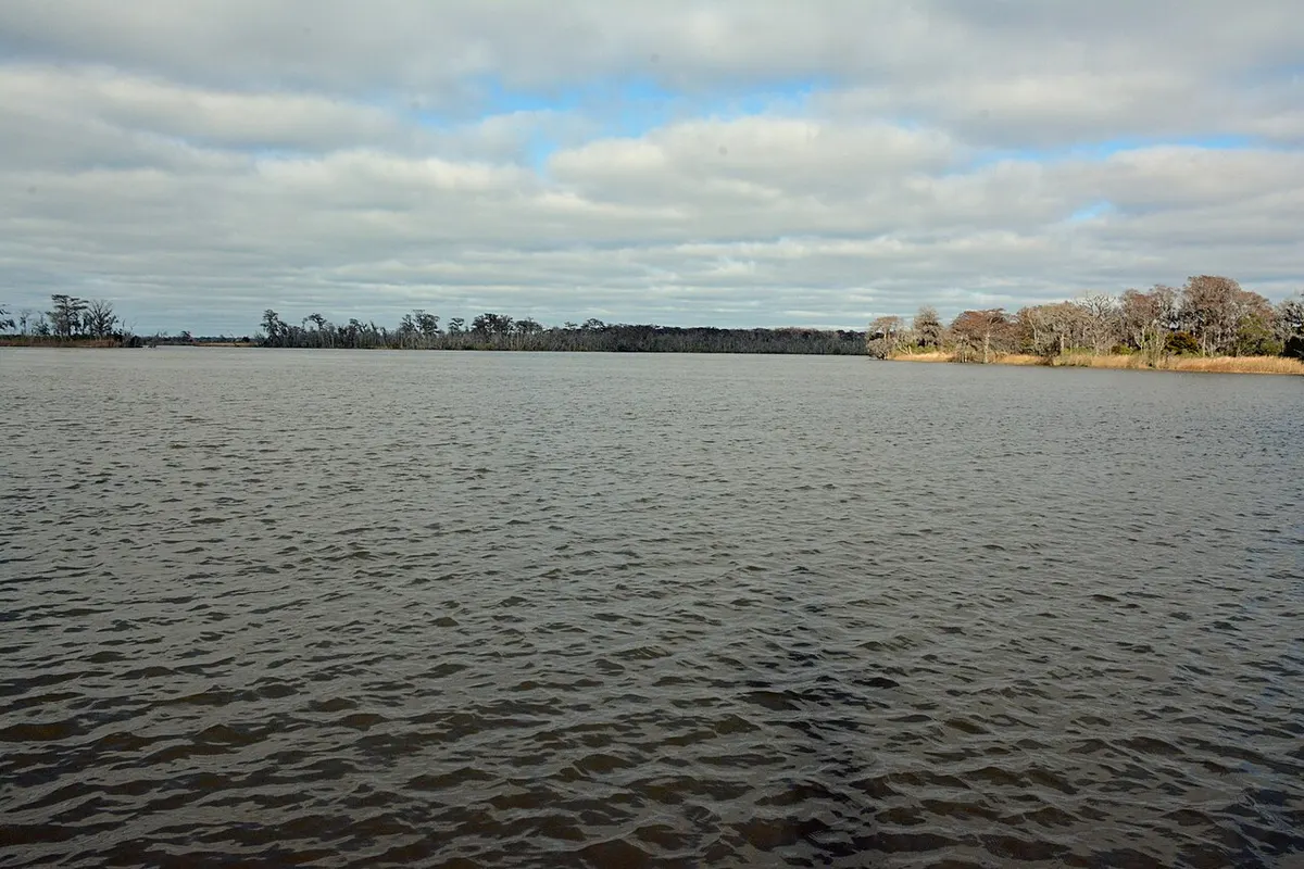 The wide Altamaha River between McIntosh and Glynn counties, Georgia, looking toward the Atlantic – the waters where Altie is said to swim