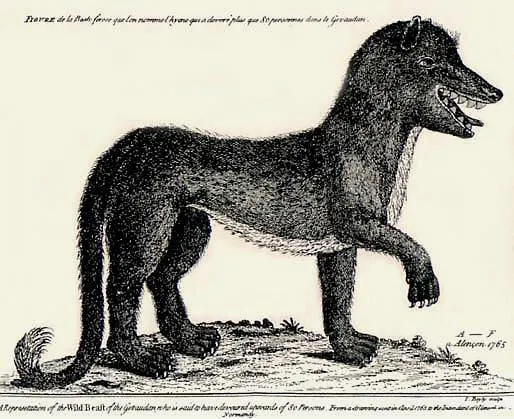 An 18th-century engraving of the Beast of Gévaudan, a wolf-like animal, published in The London Magazine in 1765.