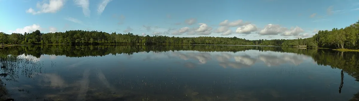 Carbuncle Pond in Coventry, Rhode Island, ringed by woods