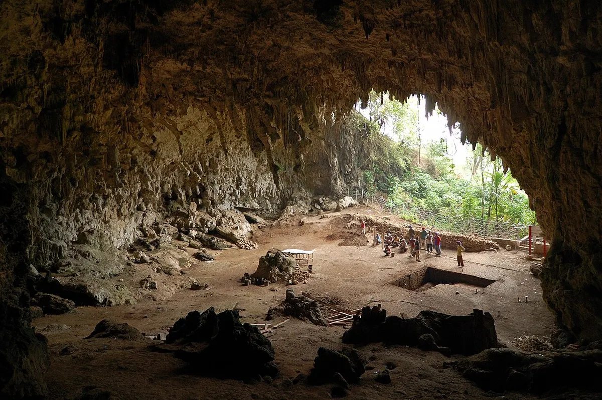 The wide limestone entrance of Liang Bua cave on Flores, where Homo floresiensis remains were found in 2003