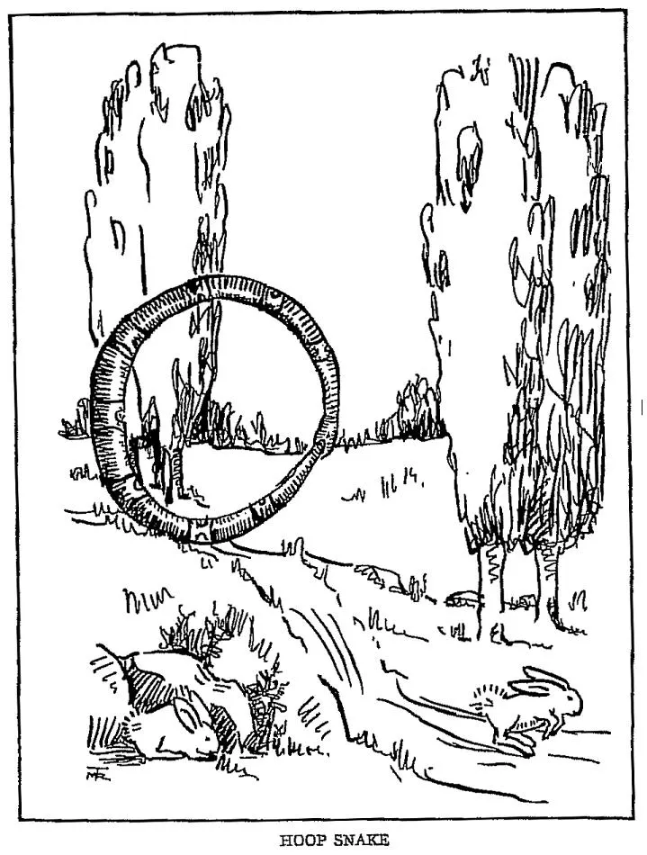Pen drawing of a snake formed into a rolling hoop chasing two rabbits down a hillside path