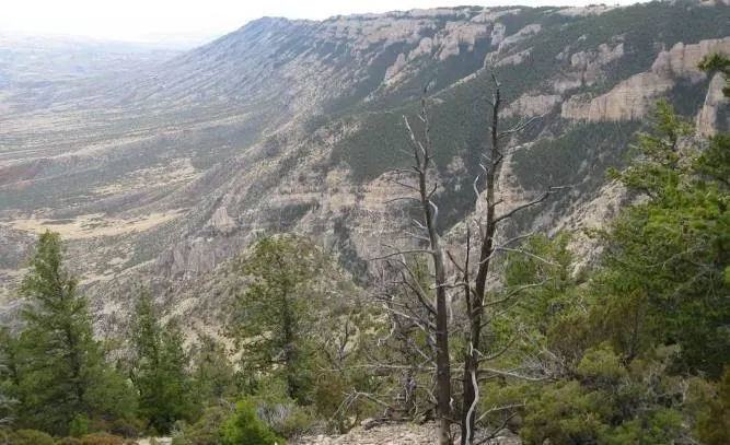 The Pryor Mountains rising above the plains of southern Montana