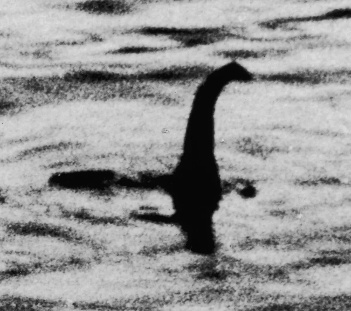 The 1934 “Surgeon’s Photograph”: a dark head and neck rising from rippled water – a hoax later shown to be a model on a toy submarine.