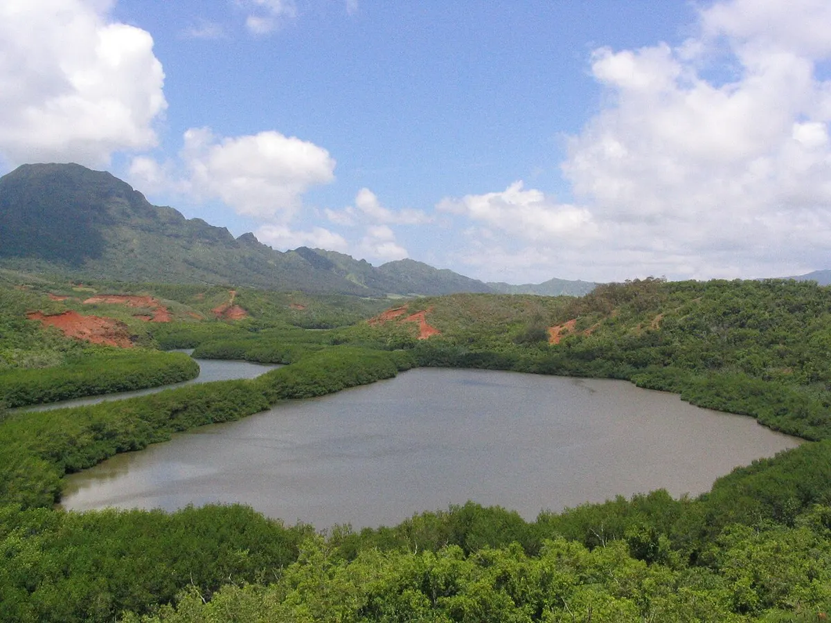 The ʻAlekoko or “Menehune” Fishpond near Līhuʻe, Kauaʻi, with its long stone wall separating the pond from the river