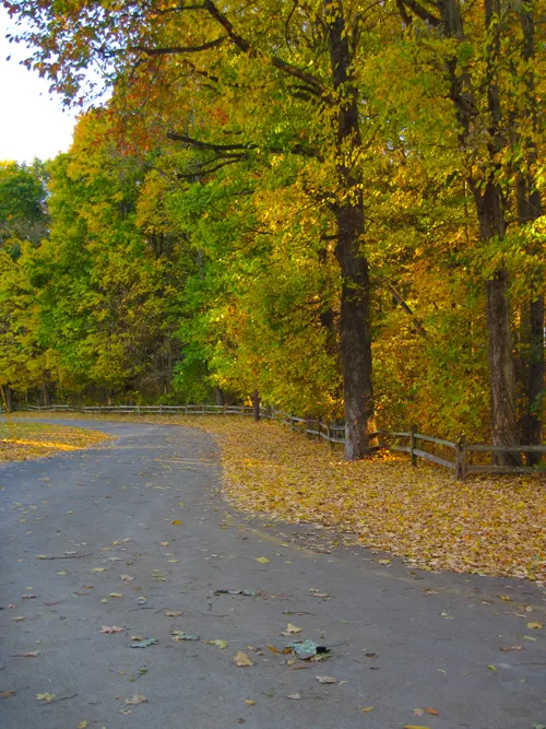 Mill Race Park in Columbus, Indiana, photographed in October 2010