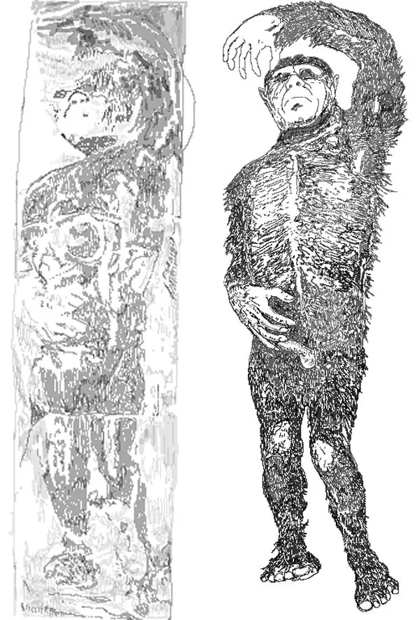 Illustration of the Minnesota Iceman as seen frozen in ice, beside a reconstruction based on Heuvelmans’ and Sanderson’s descriptions