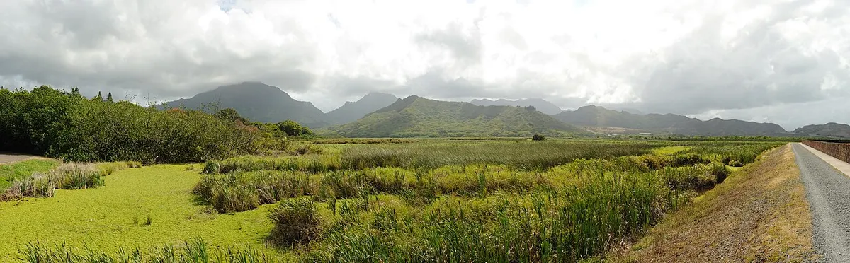 Kawainui Marsh near Kailua, Oʻahu, the realm of the moʻo Hauwahine in Hawaiian tradition