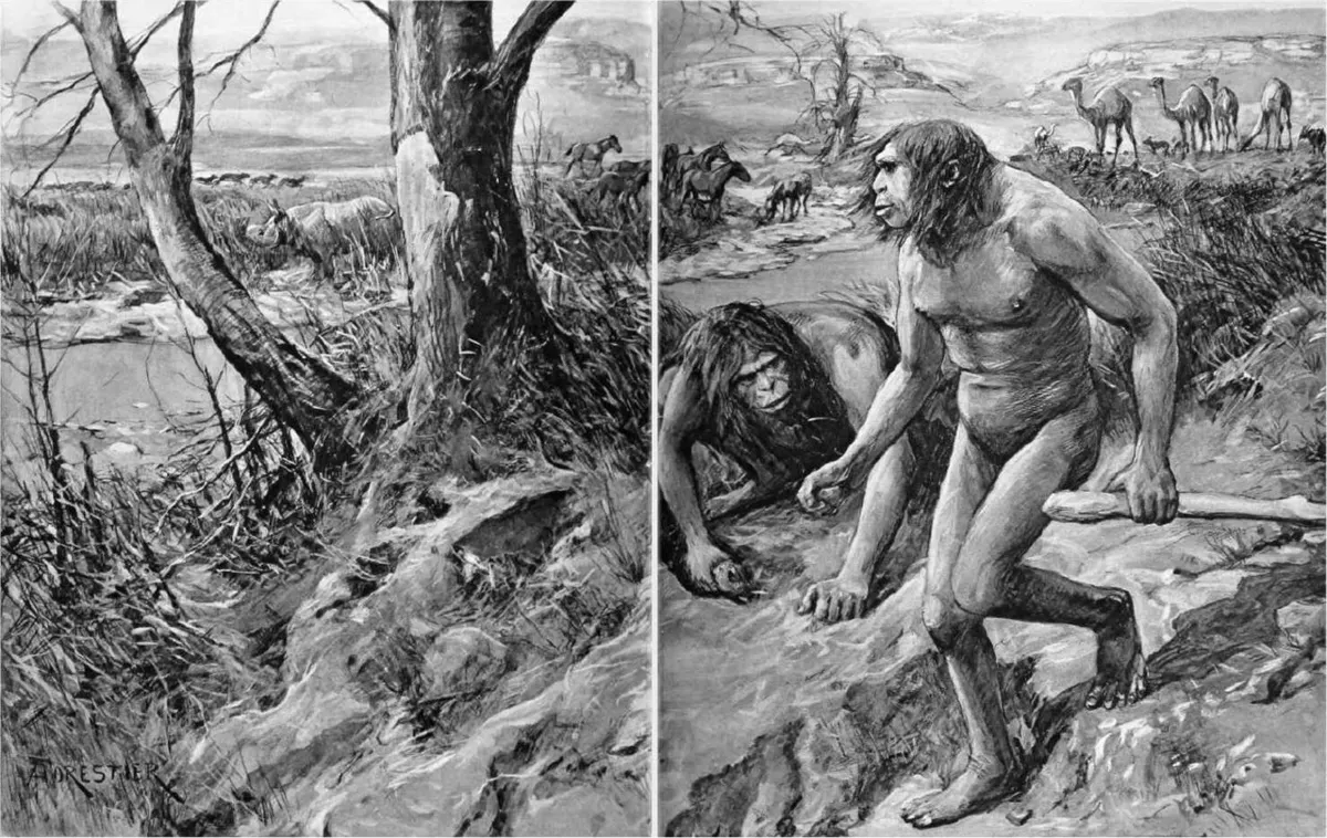 Amédée Forestier’s 1922 illustration of Nebraska Man as a pair of hairy, primitive ape-people