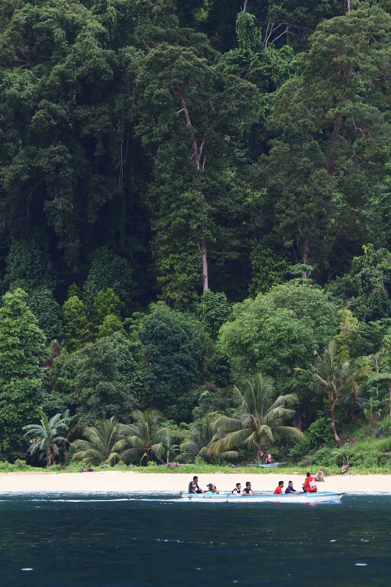A tropical beach backed by dense forest on Seram Island in Maluku, Indonesia