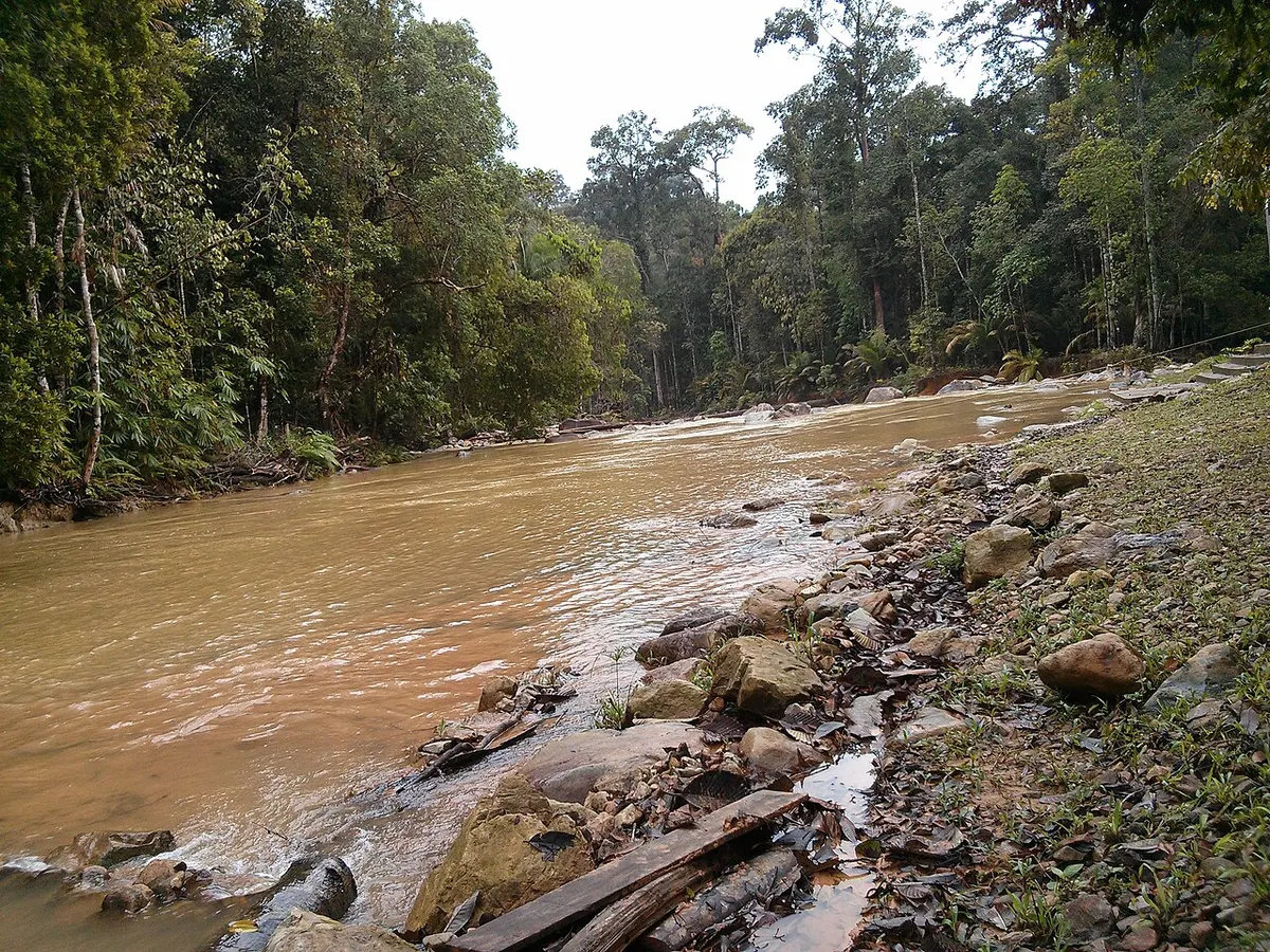 A river running through dense rainforest in Endau-Rompin National Park, Malaysia