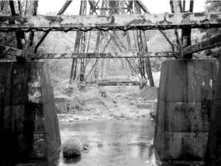 The tall steel railroad trestle over Pope Lick Creek in Louisville, Kentucky, seen from below