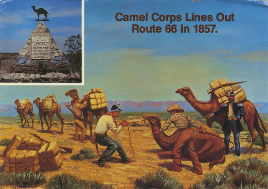 Postcard of a painting of men with camels in the Arizona desert, with an inset of the Hi Jolly memorial.