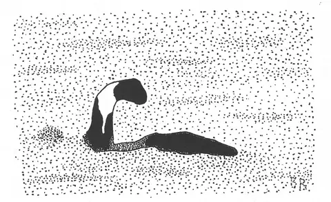 An illustration recreating Sandra Mansi’s 1977 photo of a long-necked shape rising from Lake Champlain