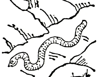 Woodblock illustration of the nozuchi, a mallet-shaped serpent, from the Edo-period encyclopedia Wakan Sansai Zue