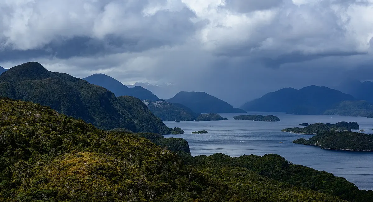 Forested islands and calm water in Dusky Sound, Fiordland