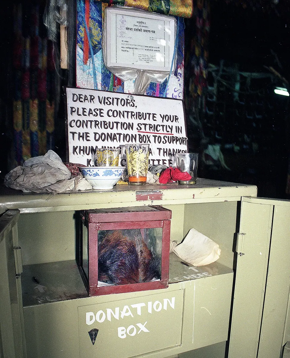 A reddish-brown fur scalp displayed in a glass-sided red box inside a cabinet beneath a hand-lettered donation sign at Khumjung monastery in Nepal