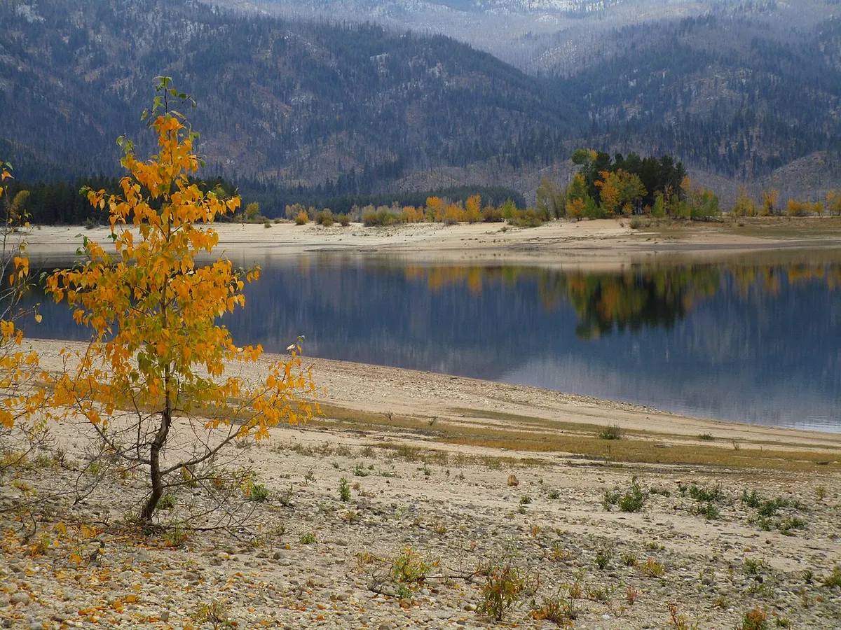 The blue water of Deadwood Reservoir framed by forested hills in the Boise National Forest, Idaho