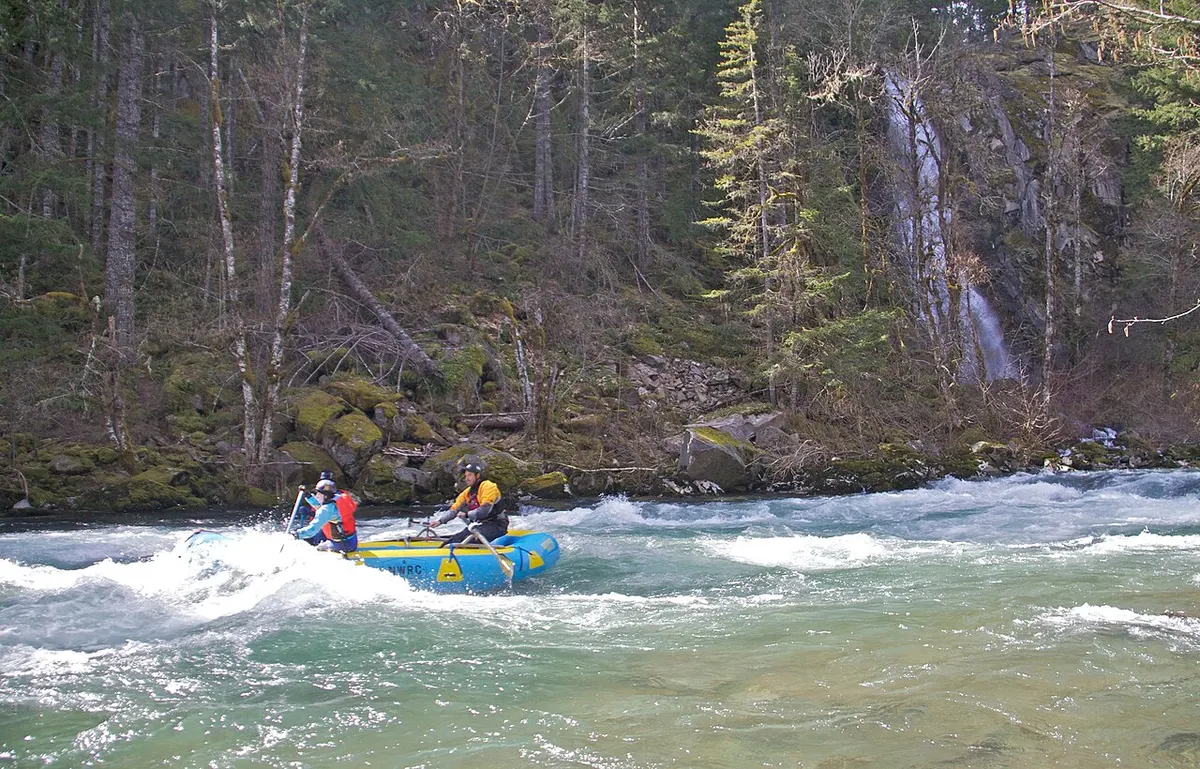 Rafters paddling through whitewater on the Wind River between forested banks in southern Washington